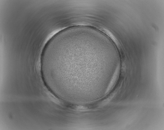 X0000115580787200911241512