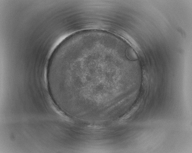 X0000115580788200911241512