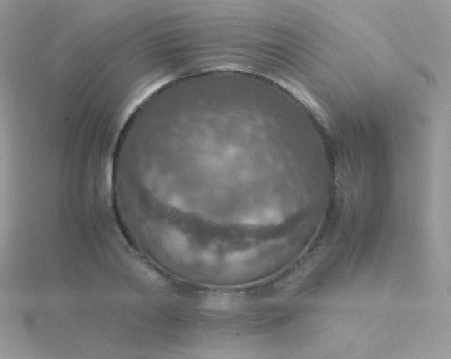 X0000115580790200911241512