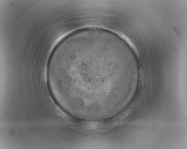 X0000115580791200911241512