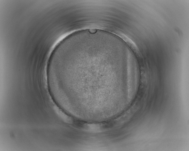 X0000115580792200911241512