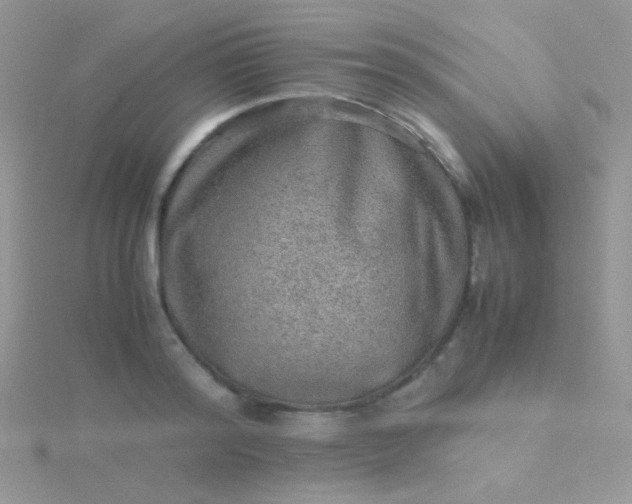 X0000115580796200911241512