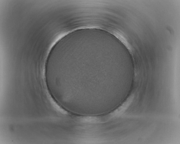 X0000115580797200911241512