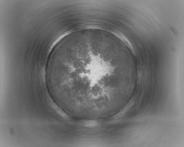 X0000115580798200911241512