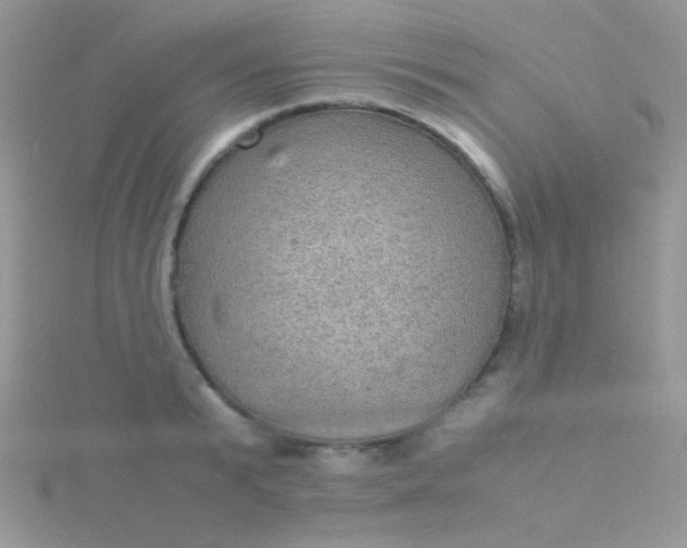 X0000115580799200911241512