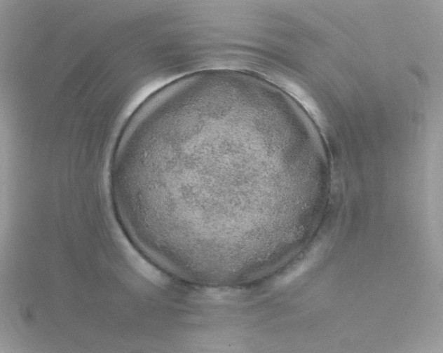 X0000115580803200911241511