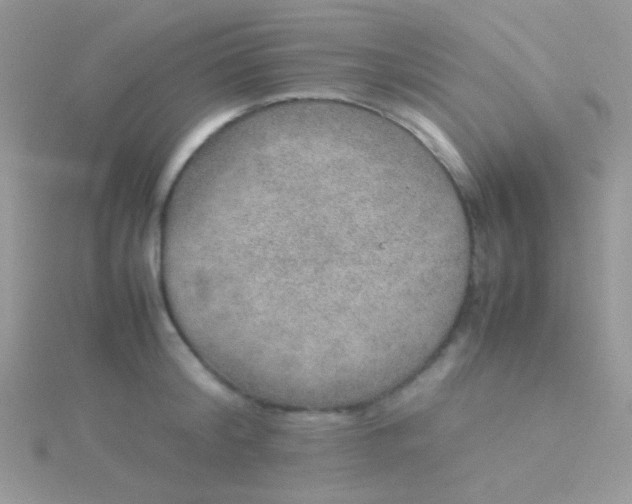 X0000115580804200911241511