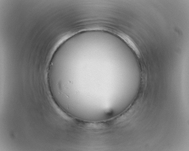 X0000115580805200911241511