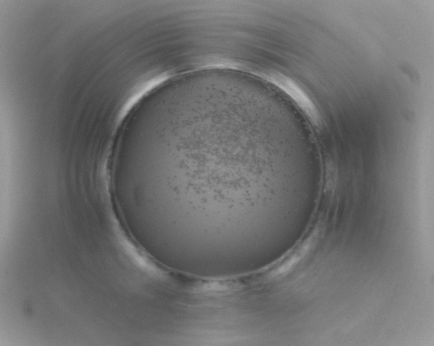 X0000115580806200911241511