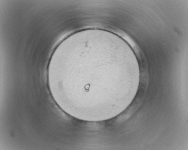 X0000115580807200911241511