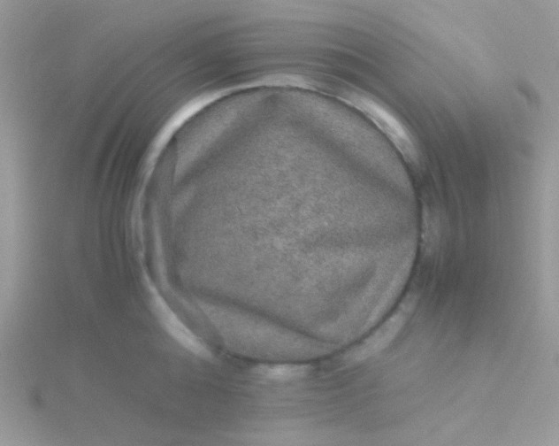 X0000115580808200911241511