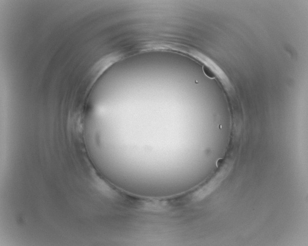 X0000115580809200911241511