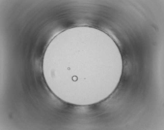 X0000115580810200911241511