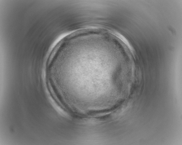 X0000115580811200911241511