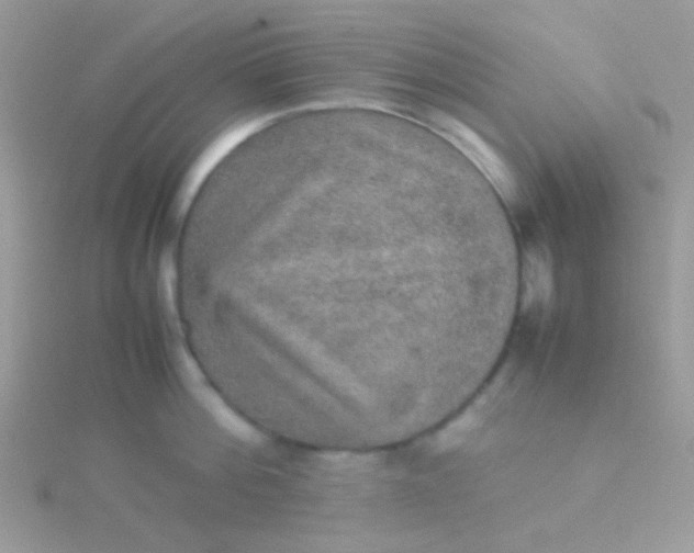 X0000115580812200911241511