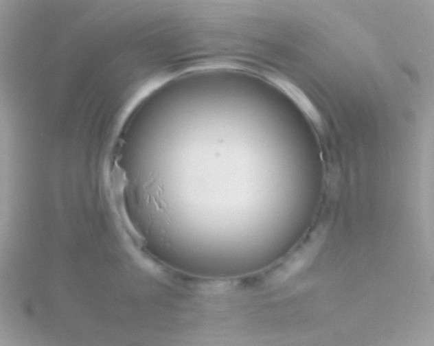 X0000115580813200911241511