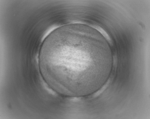 X0000115580814200911241511