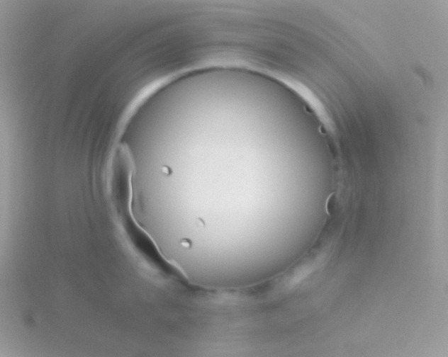 X0000115580815200911241511