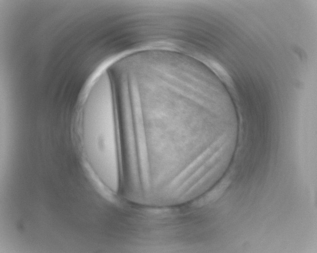 X0000115580816200911241511