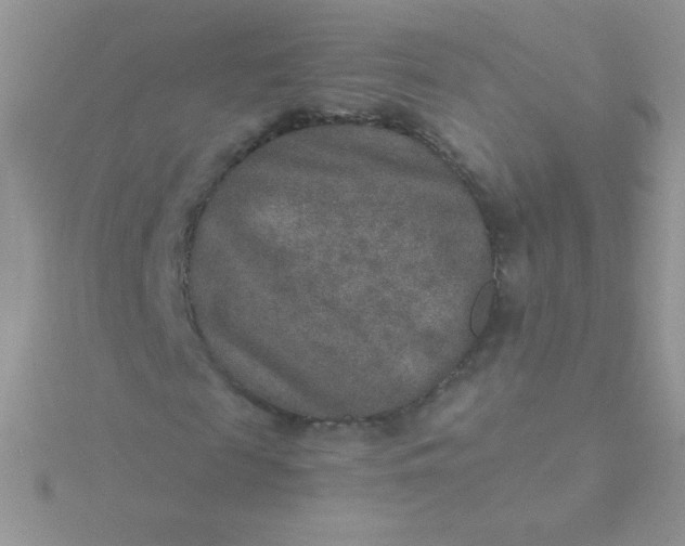 X0000115580817200911241511