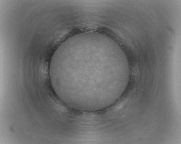 X0000115580818200911241511