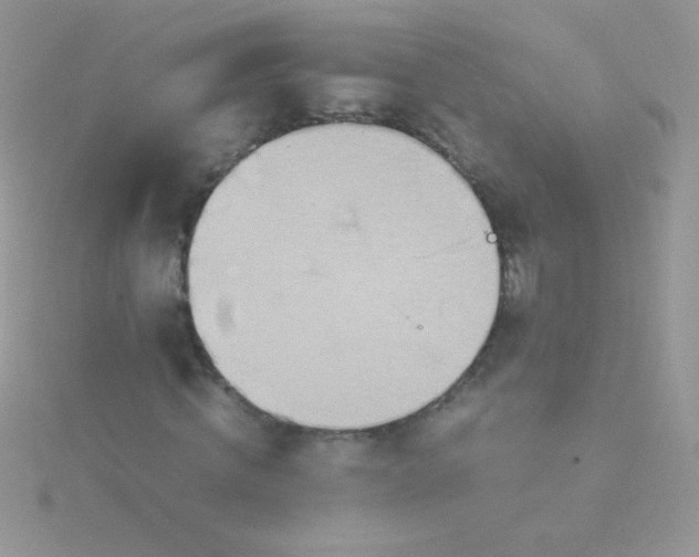 X0000115580820200911241511