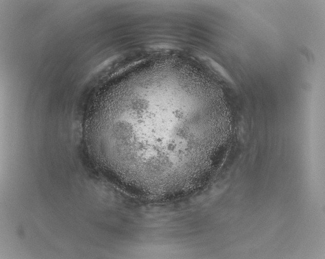 X0000115580821200911241511