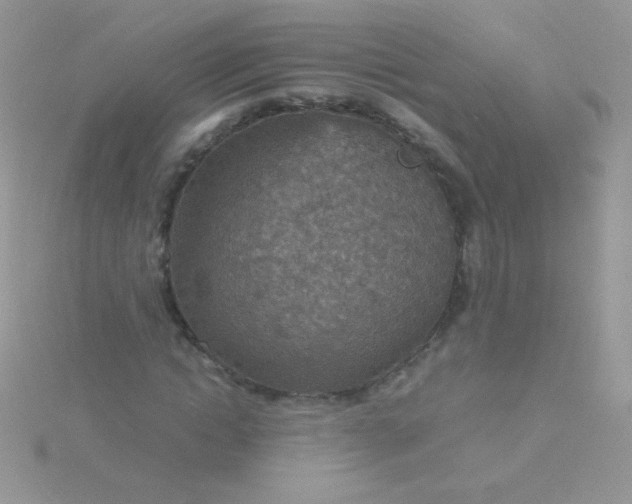 X0000115580822200911241511