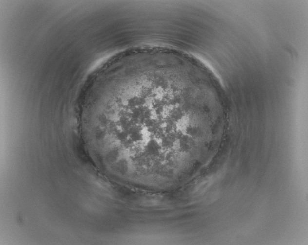 X0000115580823200911241511