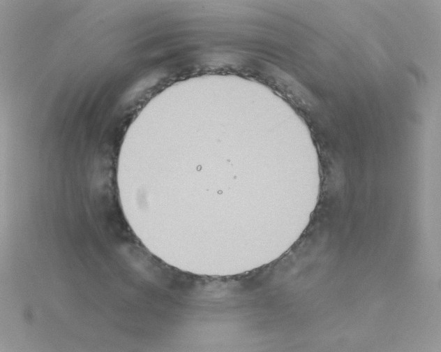 X0000115580824200911241511