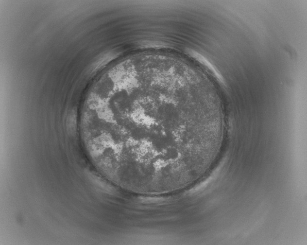 X0000115580825200911241511