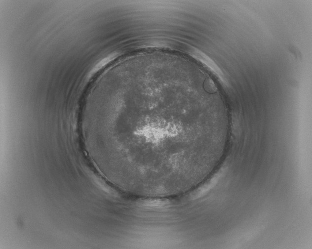 X0000115580826200911241511