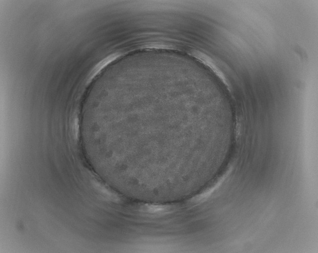 X0000115580829200911241511