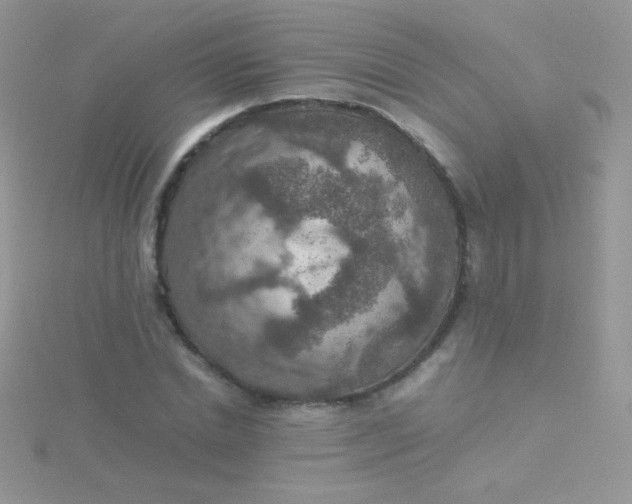 X0000115580830200911241511