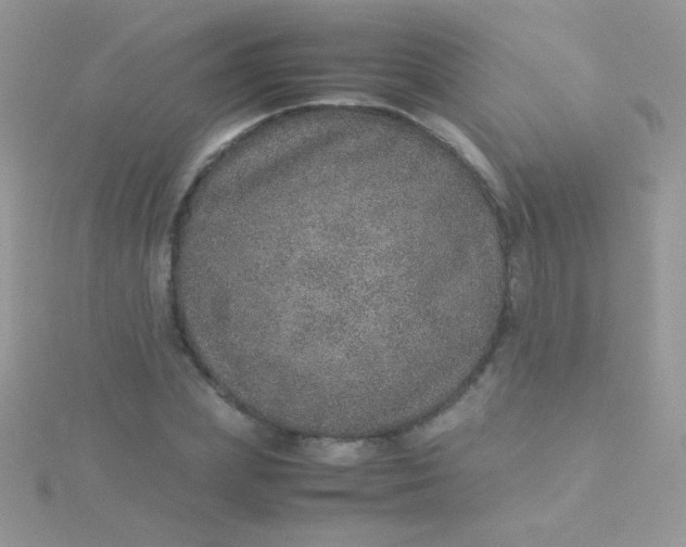 X0000115580831200911241511