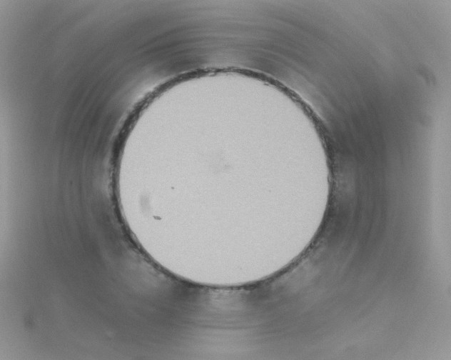 X0000115580832200911241511