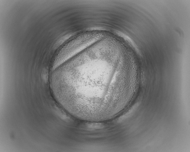 X0000115580833200911241511