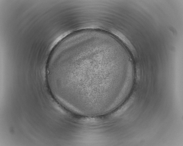 X0000115580834200911241511