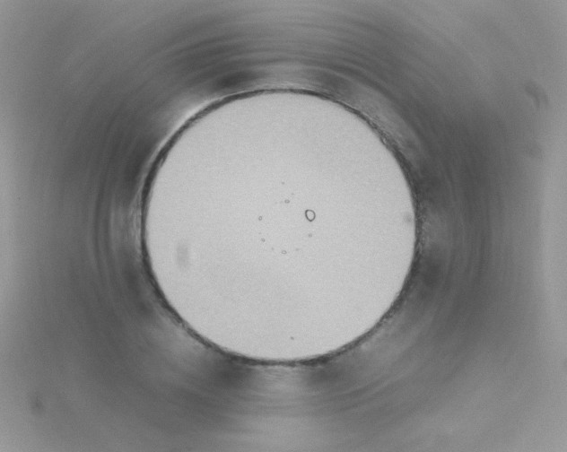 X0000115580836200911241511