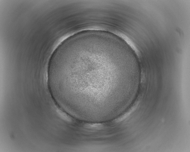 X0000115580837200911241511