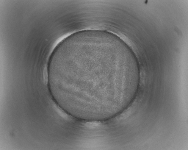 X0000115580838200911241511