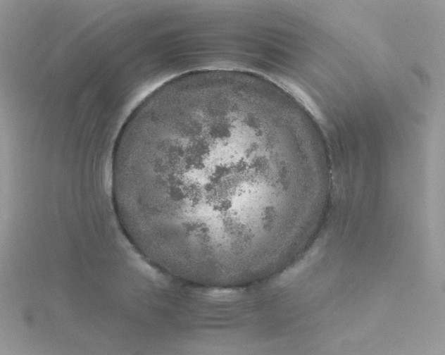 X0000115580839200911241511