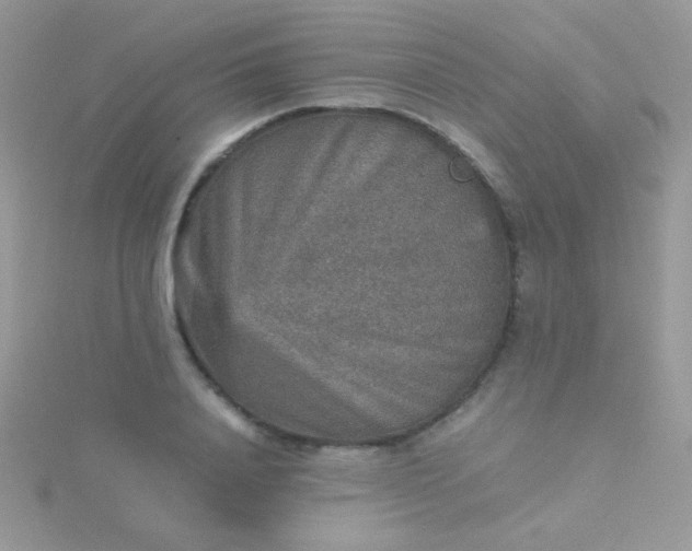 X0000115580840200911241511