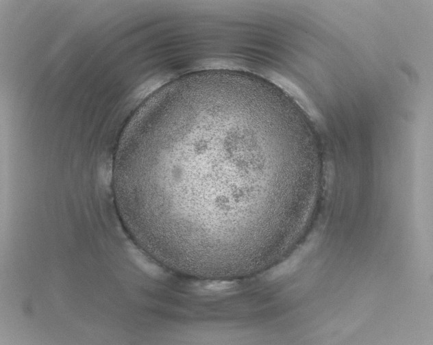 X0000115580841200911241511