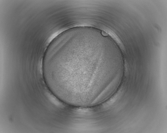 X0000115580842200911241511