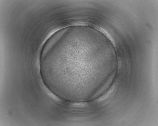 X0000115580843200911241511