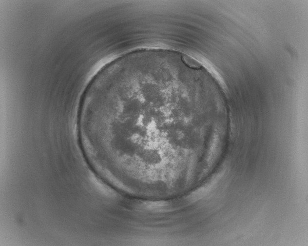 X0000115580845200911241511