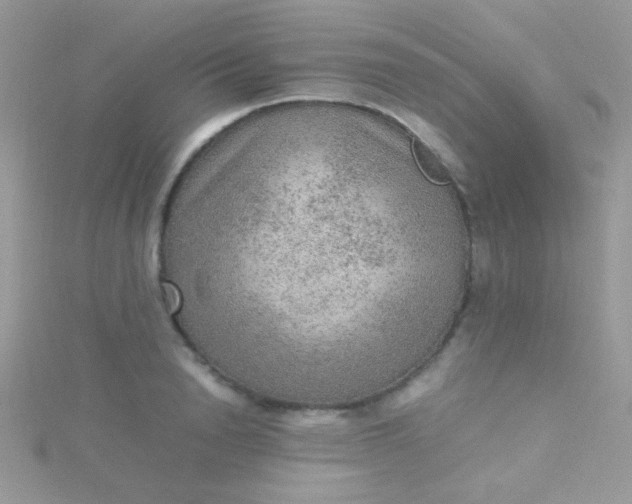 X0000115580846200911241511