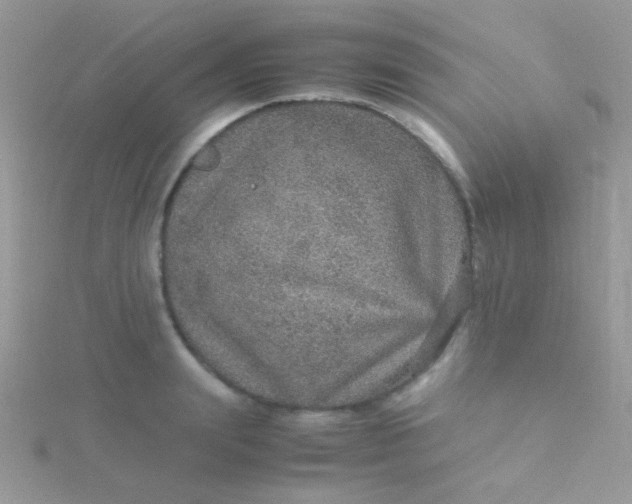 X0000115580847200911241511