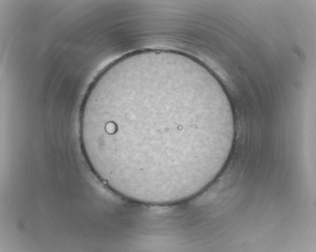 X0000115580848200911241511